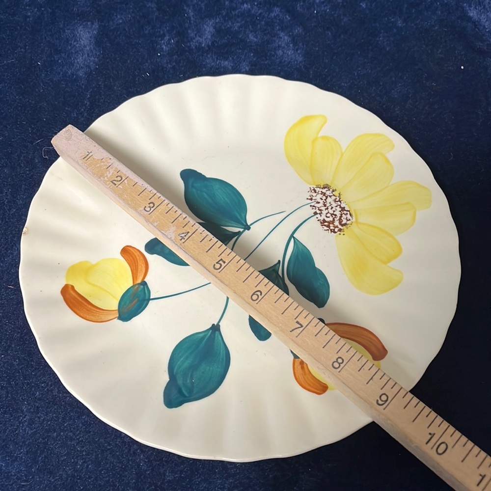 VTG Blue Ridge Hand Painted Plate - Picture 2 of 4